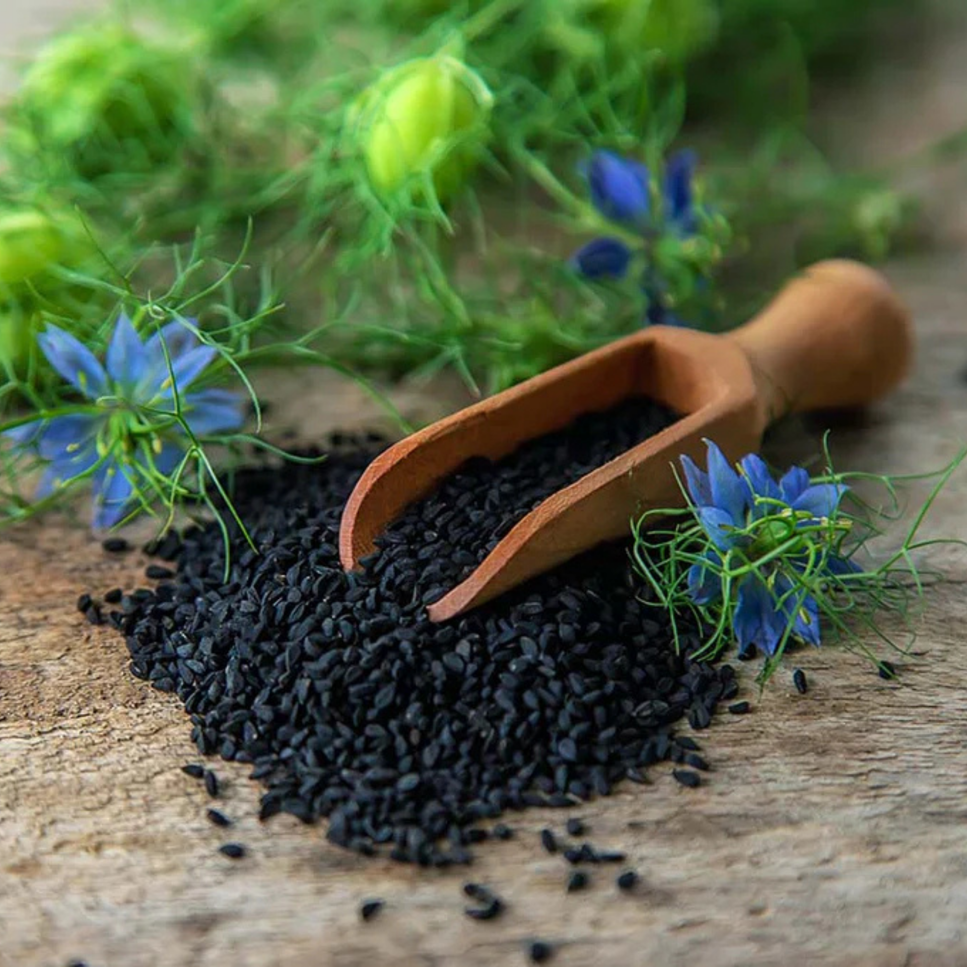 Nigella Seeds (Kalonji)